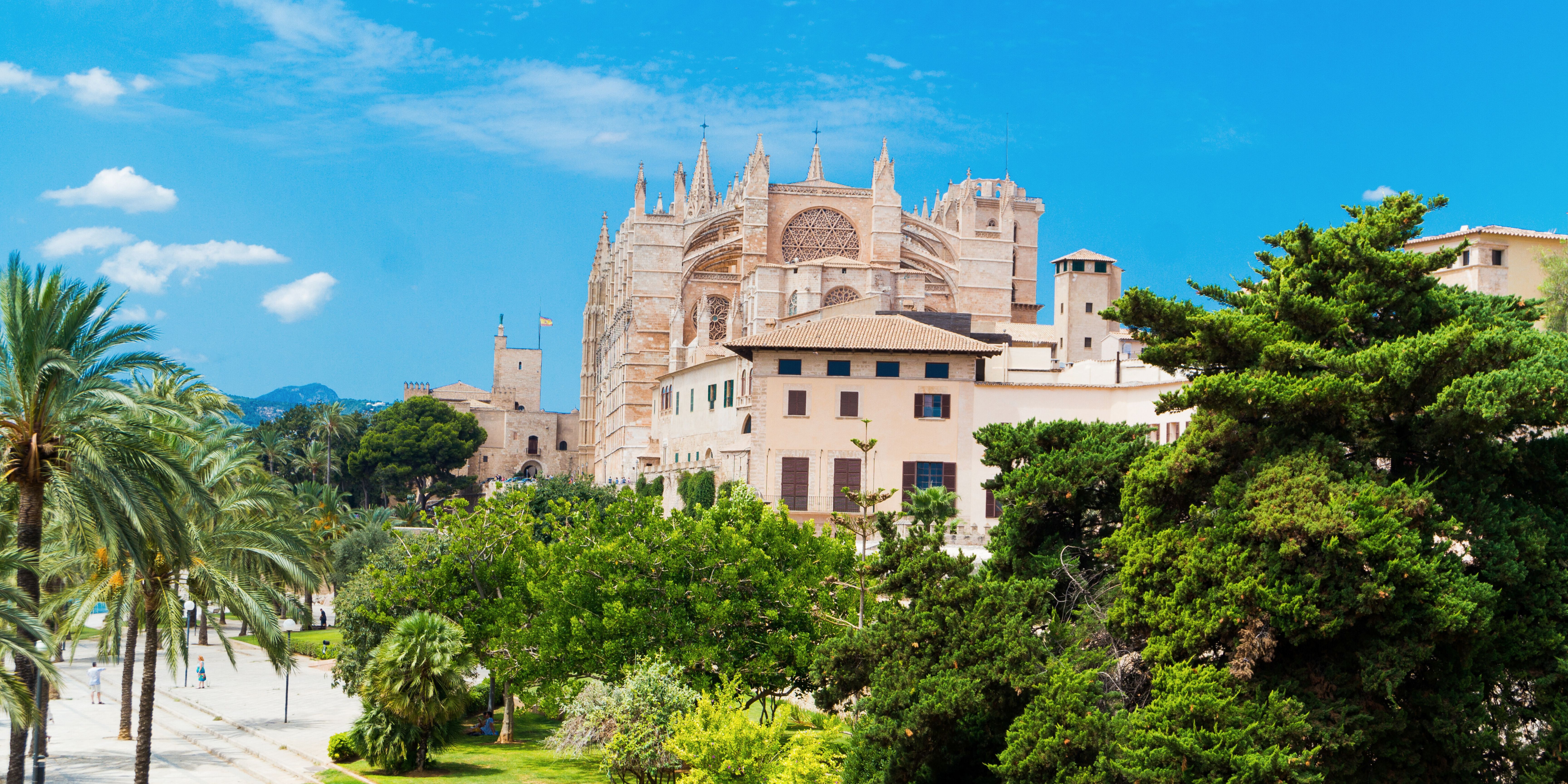 La cathédrale de la Seu à visiter à Palma de Majorque