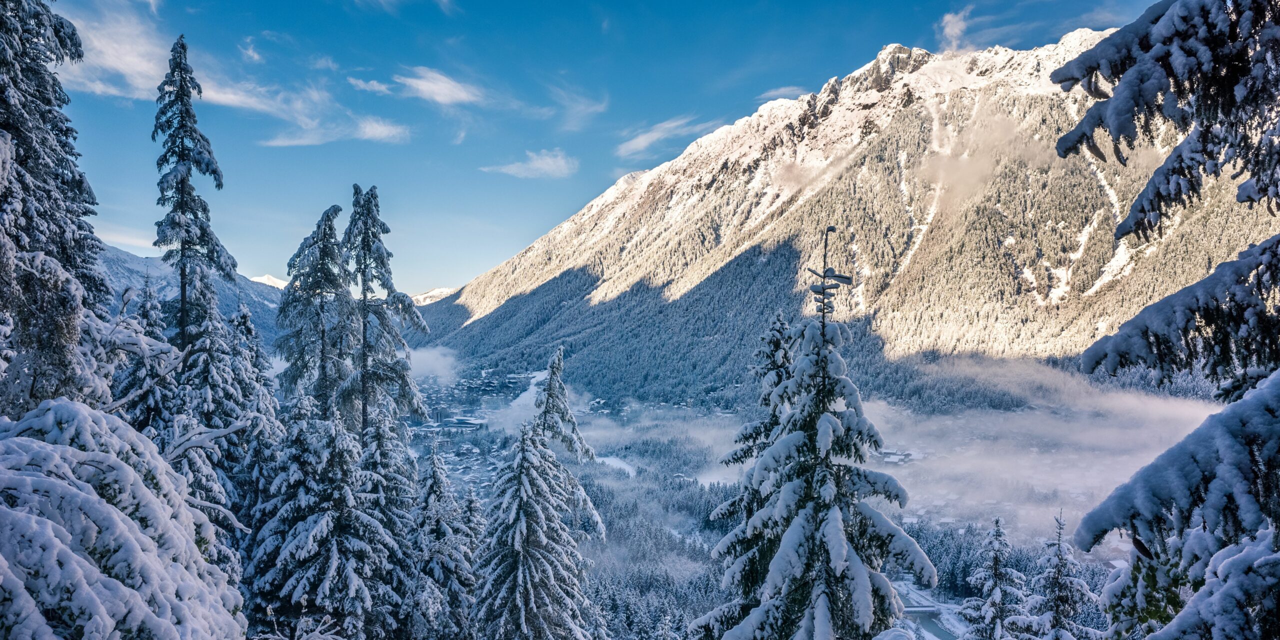 Les montagnes de Chamonix dans les Alpes vues depuis la forêt de sapins