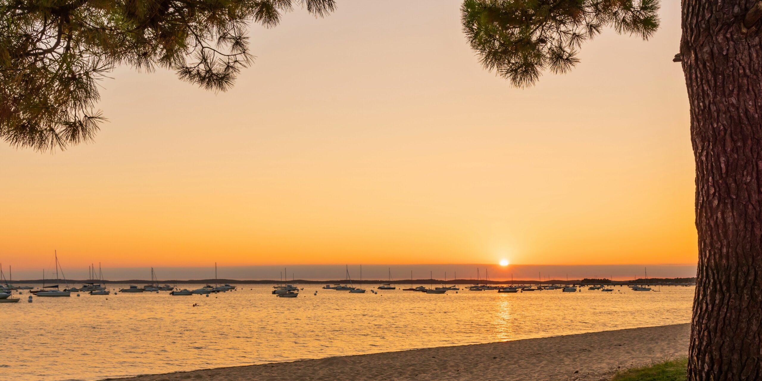 O Voir Le Plus Beau Coucher De Soleil Du Cap Ferret O Voir Le Plus Beau Coucher De Soleil Du Cap Ferret