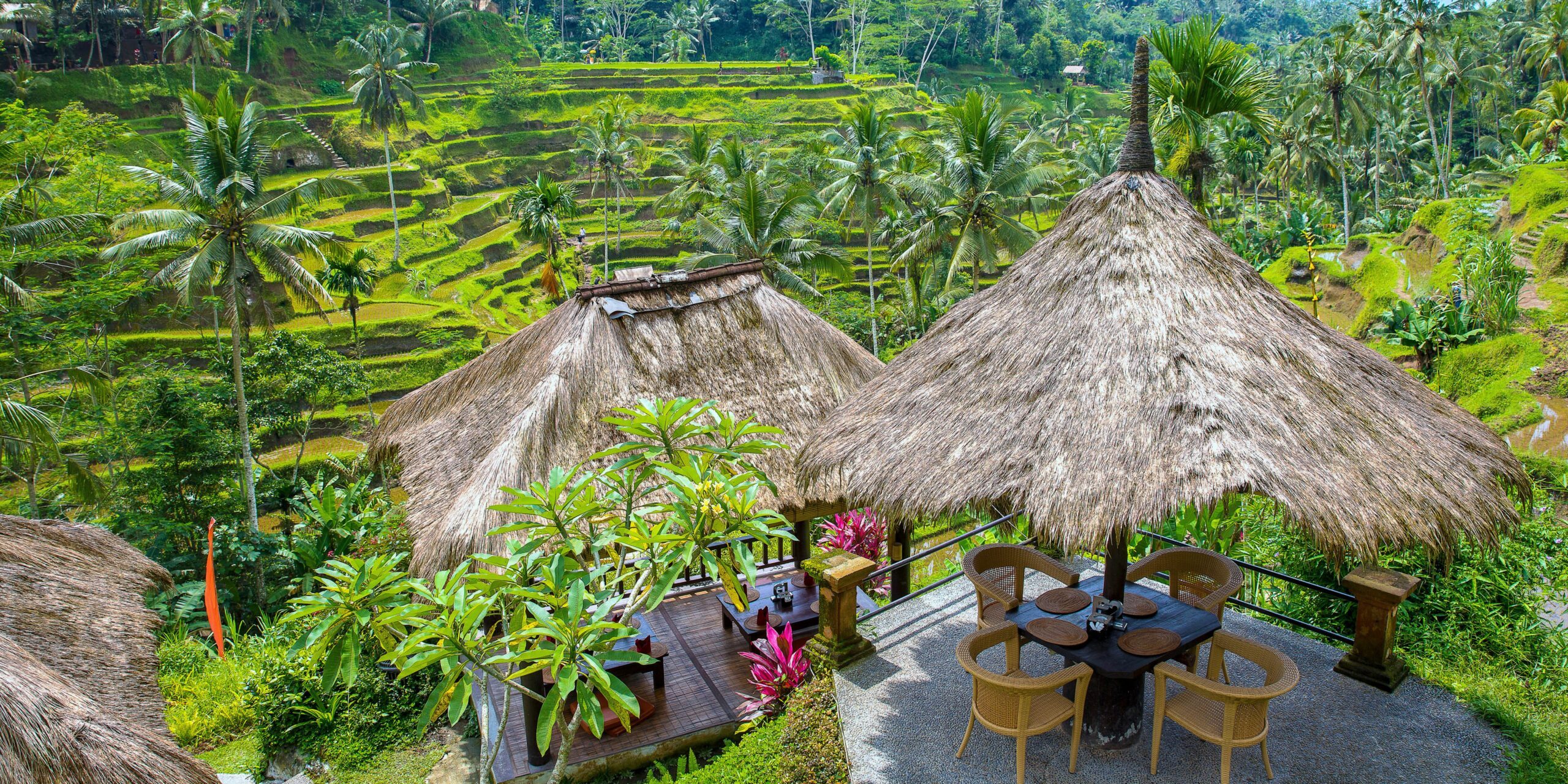 Les rizières en terrasse vues depuis une villa d'Ubud
