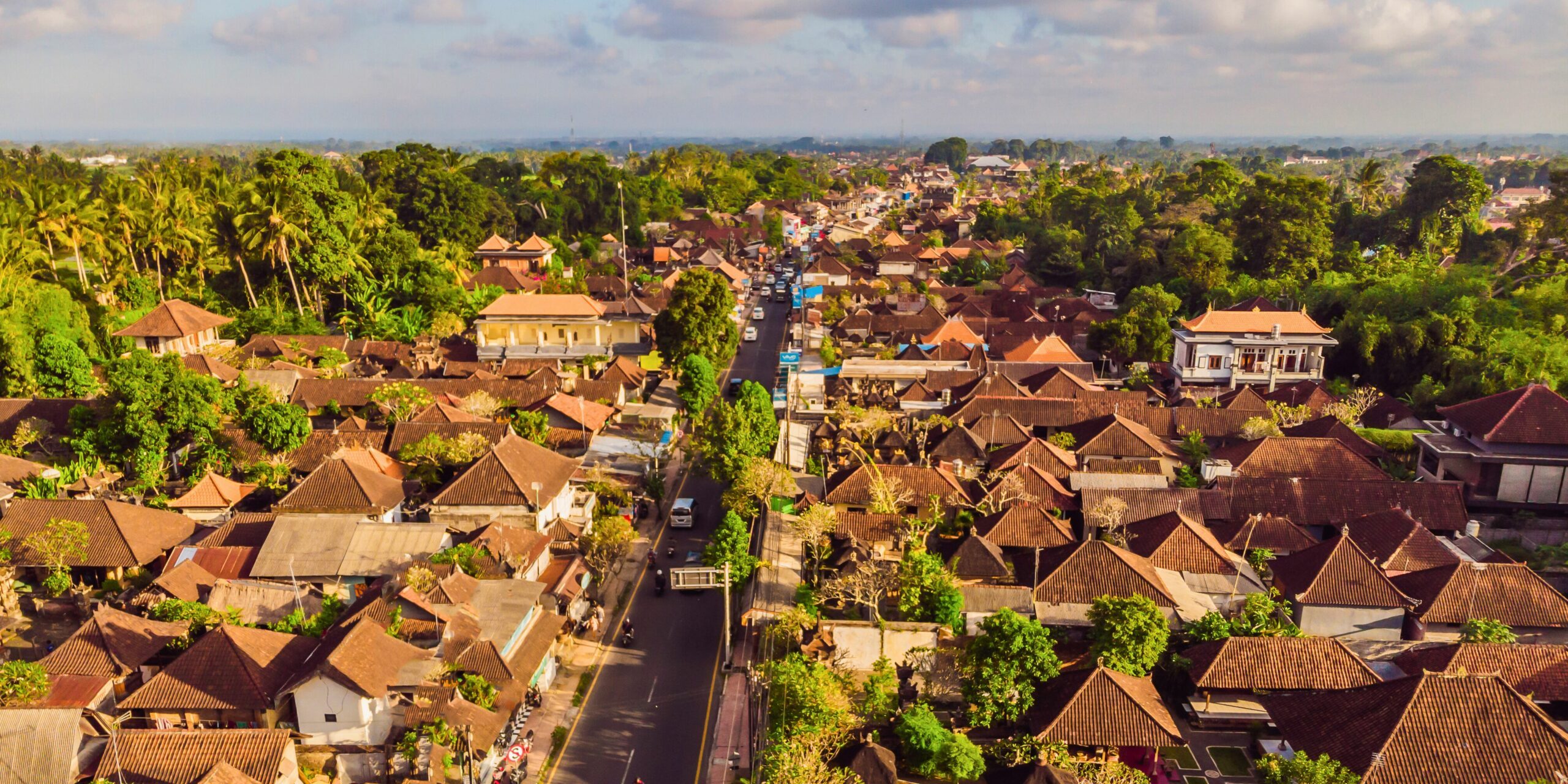 Vue drone du village d'Ubud à Bali